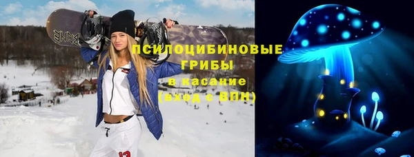 ПСИЛОЦИБИНОВЫЕ ГРИБЫ Абинск
