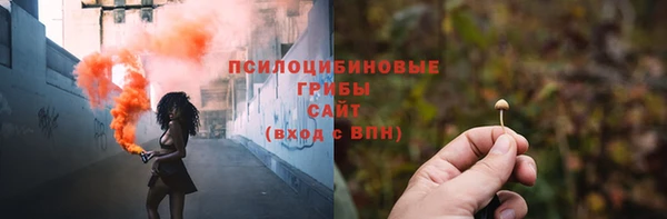 индика Абдулино