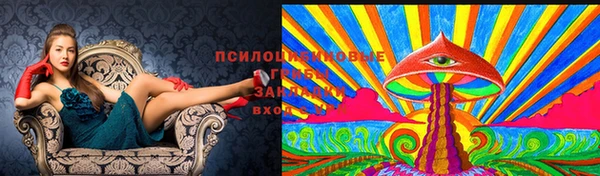 PSILOCYBIN Алзамай
