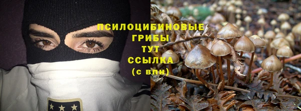 индика Абдулино