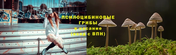 ПСИЛОЦИБИНОВЫЕ ГРИБЫ Абинск