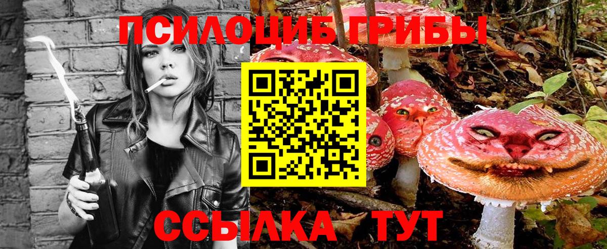 Галлюциногенные грибы Magic Shrooms  Псилоцибиновые грибы мицелий  Вход с VPN  Богородицк 